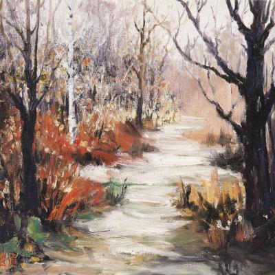 O019 50x60cm